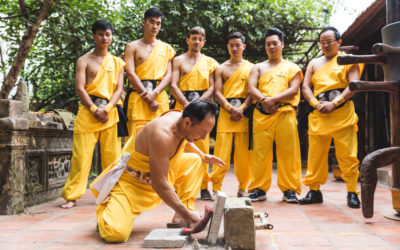 Wing Chun sleva 50 %